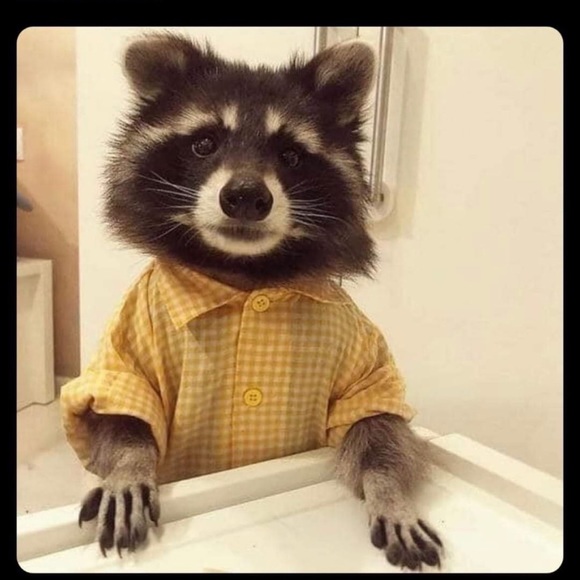 Meet your Posher, James - Picture 1 of 1